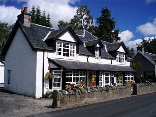 Carrmoor Guest House Carrbridge Kültér fotó